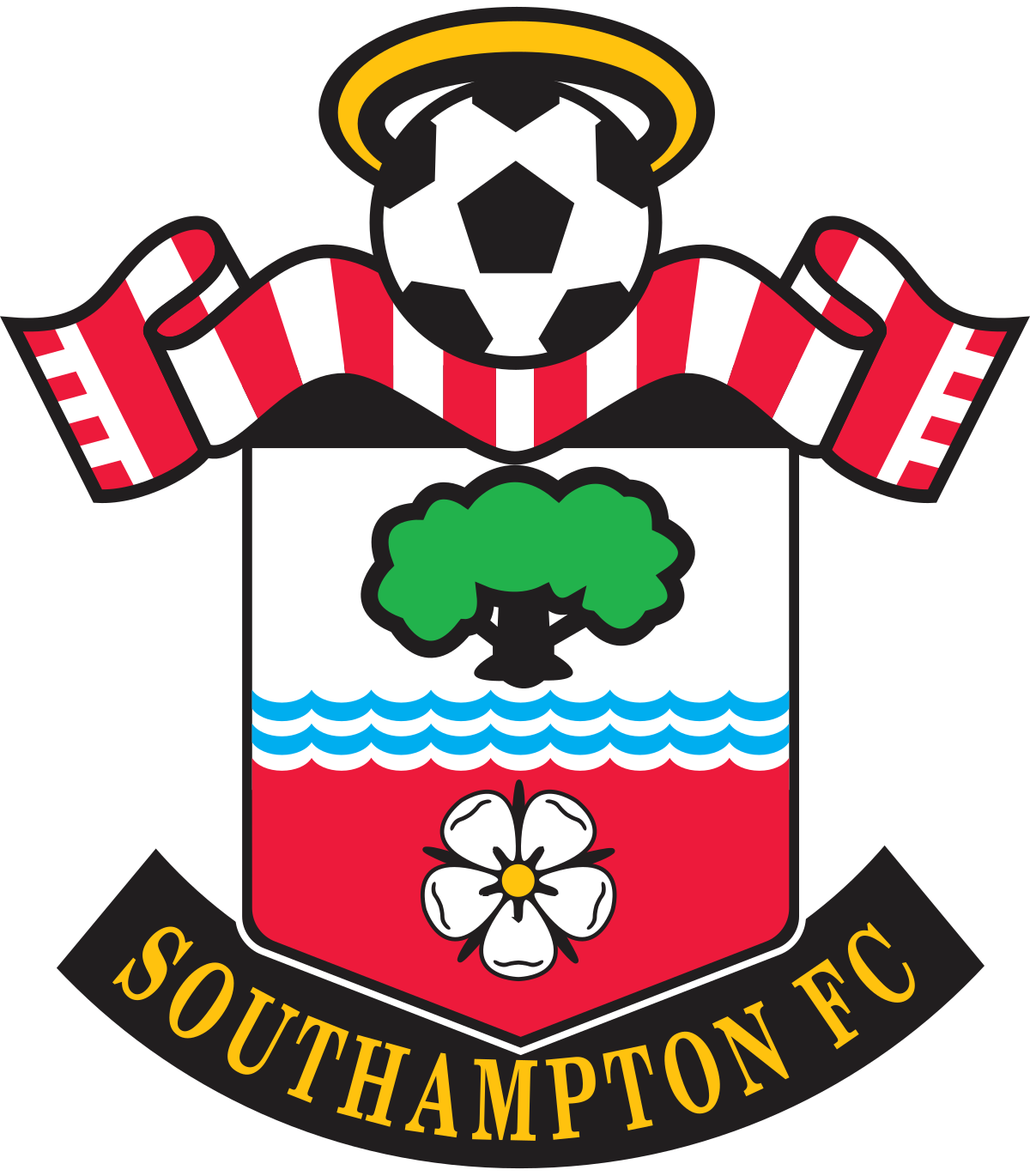 SaintJackoInHurworth's Avatar